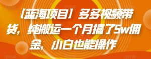 【蓝海项目】多多视频带货，纯搬运一个月搞了5w佣金，小白也能操作【揭秘】-虚拟资源库