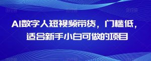 AI数字人短视频带货,门槛低,适合新手小白可做的项目-虚拟资源库