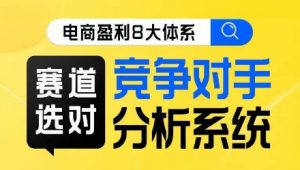 电商盈利8大体系·赛道选对,竞争对手分析系统线上课-虚拟资源库