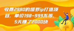 收费2980的塔罗ip打造项目，单价198-999不等，5天赚了2000块【揭秘】-虚拟资源库
