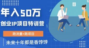 创业IP年入50W核心方法，未来10年最值得做的项目【揭秘】-虚拟资源库