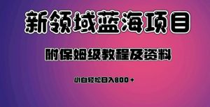 虚拟资源蓝海领域新项目,轻松日入800+,附保姆级教程及资料-虚拟资源库