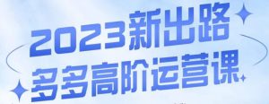 大炮·多多高阶运营课,3大玩法助力打造爆款,实操玩法直接亮出干货-虚拟资源库