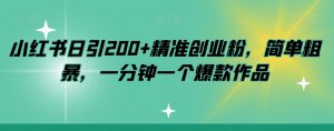 小红书日引200+精准创业粉，简单粗暴，一分钟一个爆款作品【揭秘】-虚拟资源库
