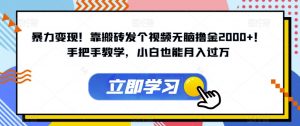 暴力变现!靠搬砖发个视频无脑撸金2000+!手把手教学,小白也能月入过万【揭秘】-虚拟资源库
