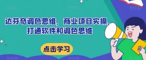 达芬奇调色思维,商业项目实操,打通软件和调色思维-虚拟资源库