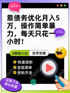 靠债务优化月入五万，每天只要花两个小时，多种方式轻松变现【揭秘】-虚拟资源库