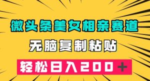微头条冷门美女相亲赛道，无脑复制粘贴，轻松日入200＋【揭秘】-虚拟资源库