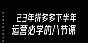 大牙·23年下半年拼多多运营必学的八节课(18节完整)-虚拟资源库