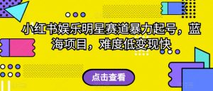 小红书娱乐明星赛道暴力起号，蓝海项目，难度低变现快【揭秘】-虚拟资源库