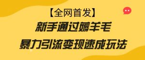 【全网首发】新手通过薅羊毛暴力引流变现速成玩法-虚拟资源库