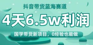 抖音带货蓝海赛道,国学带货新项目,0经验也能做,4天6.5w利润【揭秘】-虚拟资源库