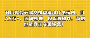 丑小鸭变天鹅女神塑造小红书玩法，月入5万+，简单易懂，按流程操作，草根也能真正实现逆袭！-虚拟资源库