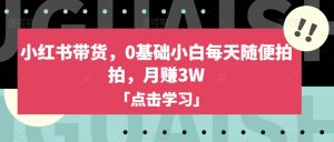 小红书带货,0基础小白每天随便拍拍,月赚3W【揭秘】-虚拟资源库