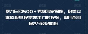 暴力日引500+男粉独家思路,将美女做成极具视觉冲击力的视频,单月盈利超2万轻轻松松-虚拟资源库