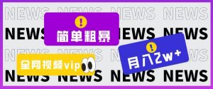 简单粗暴零成本,高回报,全网视频VIP掘金项目,月入2万+【揭秘】-虚拟资源库
