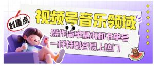 视频号音乐领域项目玩法,操作简单基本和书单号一样,特别容易上热门【揭秘】-虚拟资源库