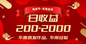 视频号直播蓝海,不需要发作品,不用经验,日入200-2000+【揭秘】-虚拟资源库
