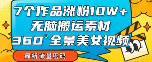 7个作品涨粉10W+，无脑搬运素材，全景美女视频爆款玩法分享【揭秘】-虚拟资源库