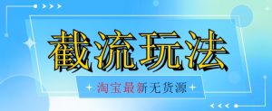 首发价值2980最新淘宝无货源不开车自然流超低成本截流玩法日入300+【揭秘】【1016更新】-虚拟资源库