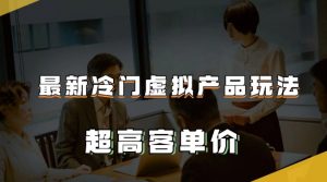 最新冷门虚拟产品玩法，超高客单价，月入2-3万＋【揭秘】-虚拟资源库