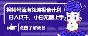 视频号蓝海领域掘金计划，日入过千，小白无脑上手【揭秘】-虚拟资源库