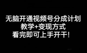 无脑开通视频号分成计划，教学+变现方式，看完即可上手开干!-虚拟资源库