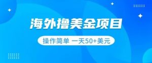 撸美金项目无门槛操作简单小白一天50+美刀-虚拟资源库