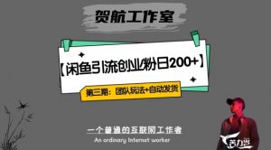 第三期：暴力引流，无脑搬运，闲鱼创业粉引流一天200+，更新全自动发货的团队闭环模式【揭秘】-虚拟资源库