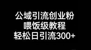 公域引流创业粉，喂饭级教程，轻松日引流300+【揭秘】-虚拟资源库
