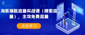 淘系爆款流量实战课（搜索流量），主攻免费流量-虚拟资源库