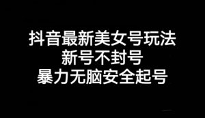 抖音最新美女号玩法，新号不封号，暴力无脑安全起号【揭秘】-虚拟资源库