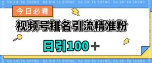 视频号引流精准粉,日引100+,流量爆炸【揭秘】-虚拟资源库