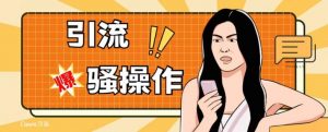 最新引流骚操作，单账号日引50-100，简单粗暴，适合于小白各行各业都可以进行操作，精准粉丝加到爆-虚拟资源库