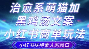 治愈系萌猫加+黑鸡汤文案,小红书商单玩法,3~10天涨到1000粉,一单200左右-虚拟资源库