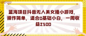 蓝海项目抖音无人美女播小游戏，操作简单，适合0基础小白，一周收益2500【揭秘】-虚拟资源库