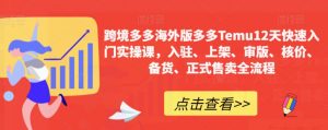 跨境多多海外版多多Temu12天快速入门实操课，入驻、上架、审版、核价、备货、正式售卖全流程-虚拟资源库