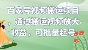 百家号视频搬运项目，通过搬运视频放大收益，可批量起号【揭秘】-虚拟资源库