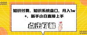 知识付费,知识系统盘口,月入1w+,新手小白直接上手-虚拟资源库