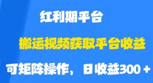 搬运视频获取平台收益，平台红利期，附保姆级教程【揭秘】-虚拟资源库