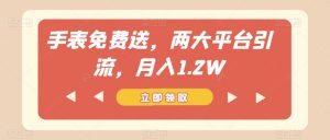 手表免费送,两大平台引流,月入1.2W【揭秘】-虚拟资源库