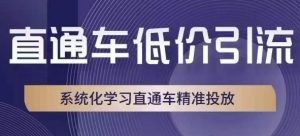 直通车低价引流课，系统化学习直通车精准投放-虚拟资源库