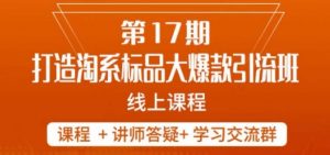 南掌柜-第17期打造淘系标品大爆款,5天线上课-虚拟资源库