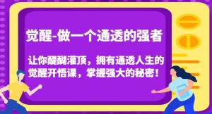 觉醒-做一个通透的强者,让你醍醐灌顶,拥有通透人生的觉醒开悟课,掌握强大的秘密!-虚拟资源库