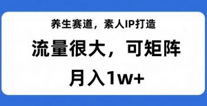 养生赛道,素人IP打造,流量很大,可矩阵,月入1w+【揭秘】-虚拟资源库