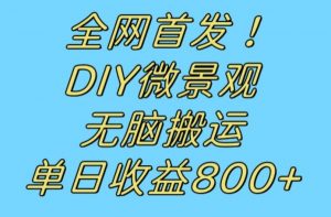 全网首发冷门赛道!DIY微景观,无脑搬运视频,日收益800+【揭秘】-虚拟资源库
