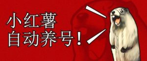 小红书养号秘籍,如何自动涨粉清晰系统标签打造高权重账号【揭秘】-虚拟资源库