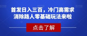 首发日入三百,冷门高需求消除路人零基础玩法来啦【揭秘】-虚拟资源库