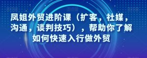 凤姐外贸进阶课(扩客,社媒,沟通,谈判技巧),帮助你了解如何快速入行做外贸-虚拟资源库