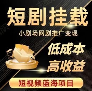 2023短视频蓝海项目，抖音快手短剧推广变现教程，低成本高收益-淘宝虚拟货源网